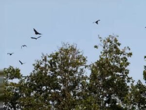 motion_photo_7374891442871771876