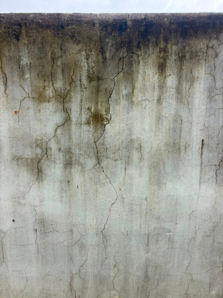 IMG-20260807-WA0045