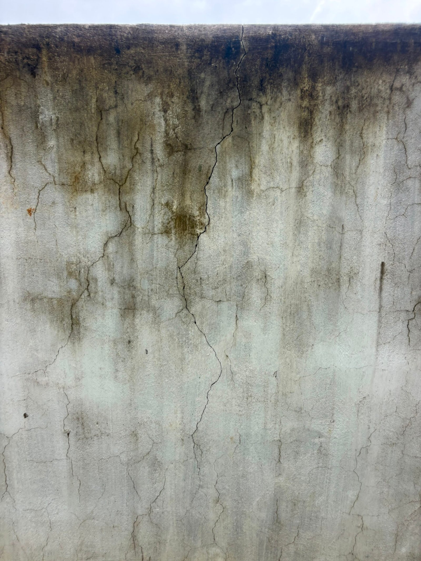IMG-20260807-WA0045