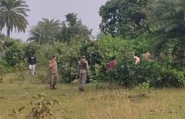 VID-20261010-WA0032(2)